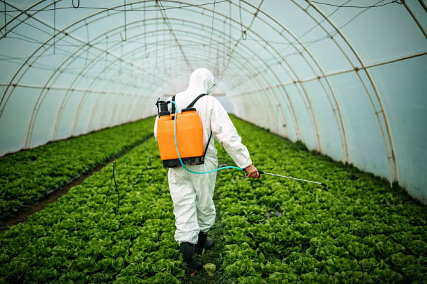 Pest Prevention Services in River Ridge, FL