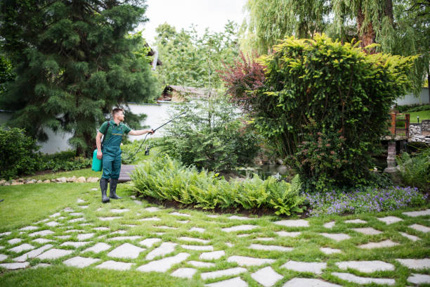 Best Insect Control  in River Ridge, FL