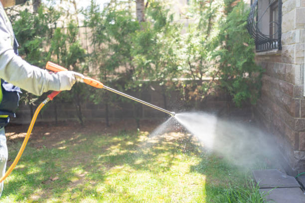 Best Affordable Pest Control Services  in River Ridge, FL